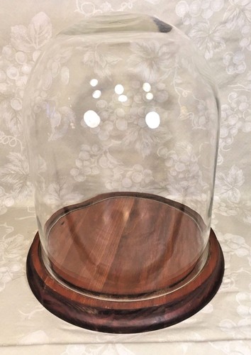 Vintage glass display dome - vintage,